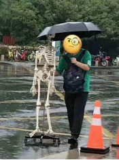 1563328357129357.png image.png